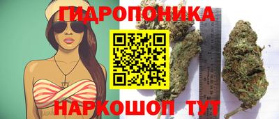 стаф Владивосток