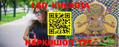 спиды Владимир