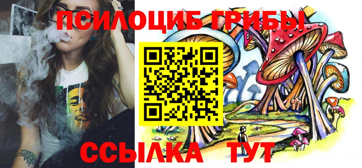 Братск  Галлюциногенные грибы Cubensis  Вход с VPN 